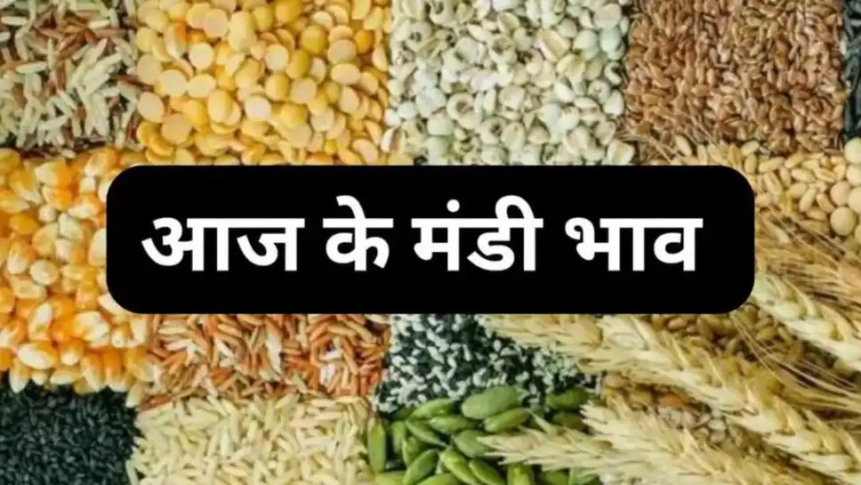 Betul Mandi Bhav 15 May 2025: