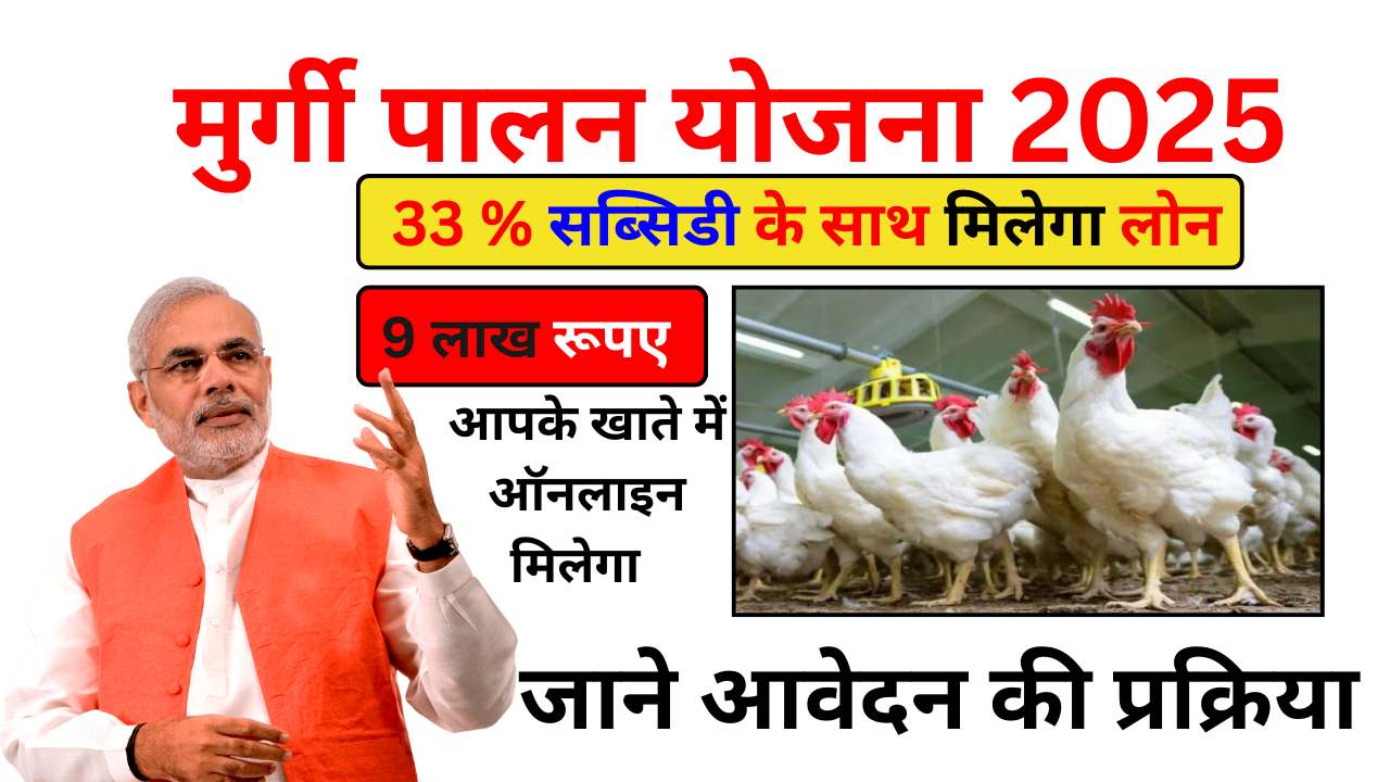 Murgi Palan Yojana: अब अपना कारोबार शुरू करें, सरकार दे रही है 9 लाख तक लोन और सब्सिडी