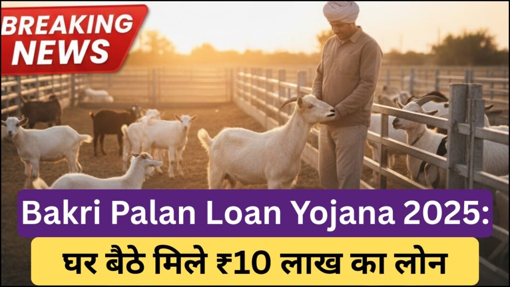 Bakri Palan Loan Yojana 2025 भारत में कृषि और पशुपालन ग्रामीण अर्थव्यवस्था की रीढ़ माने जाते हैं। खेती के साथ-साथ पशुपालन विशेष रूप से बकरी पालन एक तेजी से